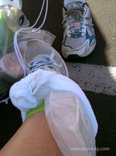 Disneyland 2012 Half - Ice