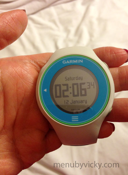 Disney World Marathon 2013 - Early morning