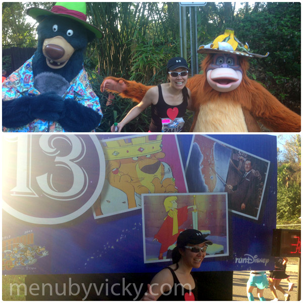 Walt Disney World 2013 Marathon - Mile 13