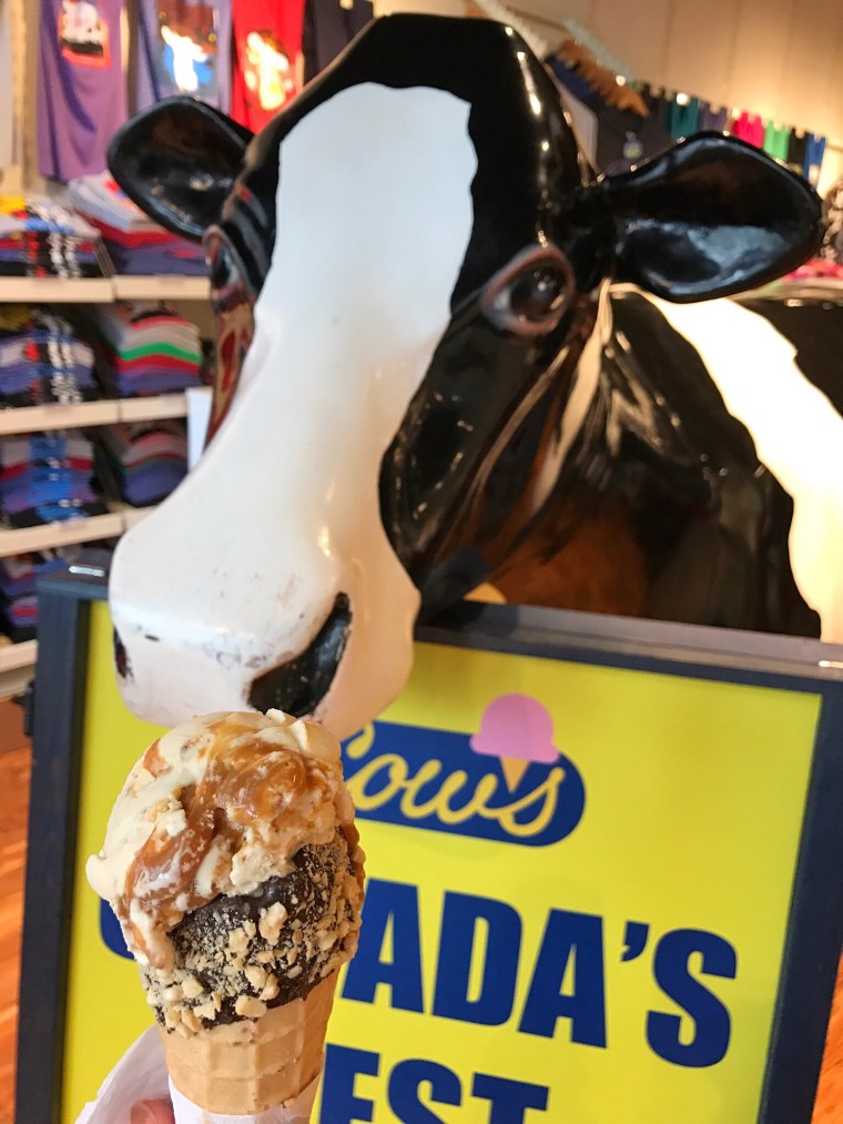 Cow's Ice Cream